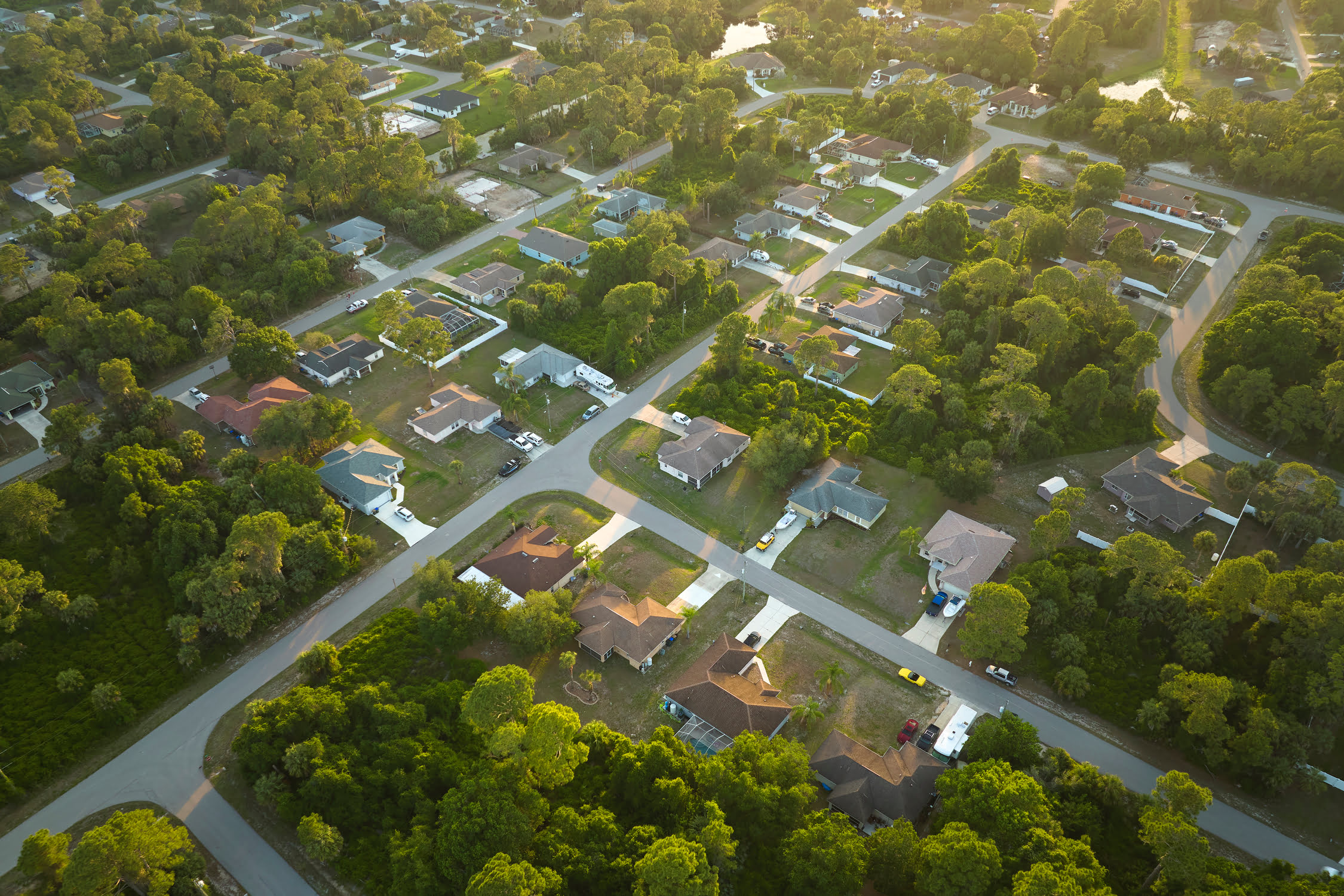 neighborhood
